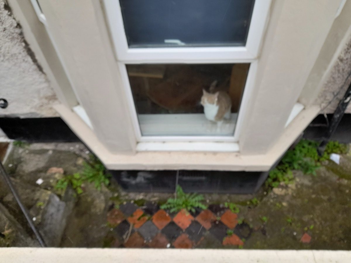 General building project at Albany Rd, image 3