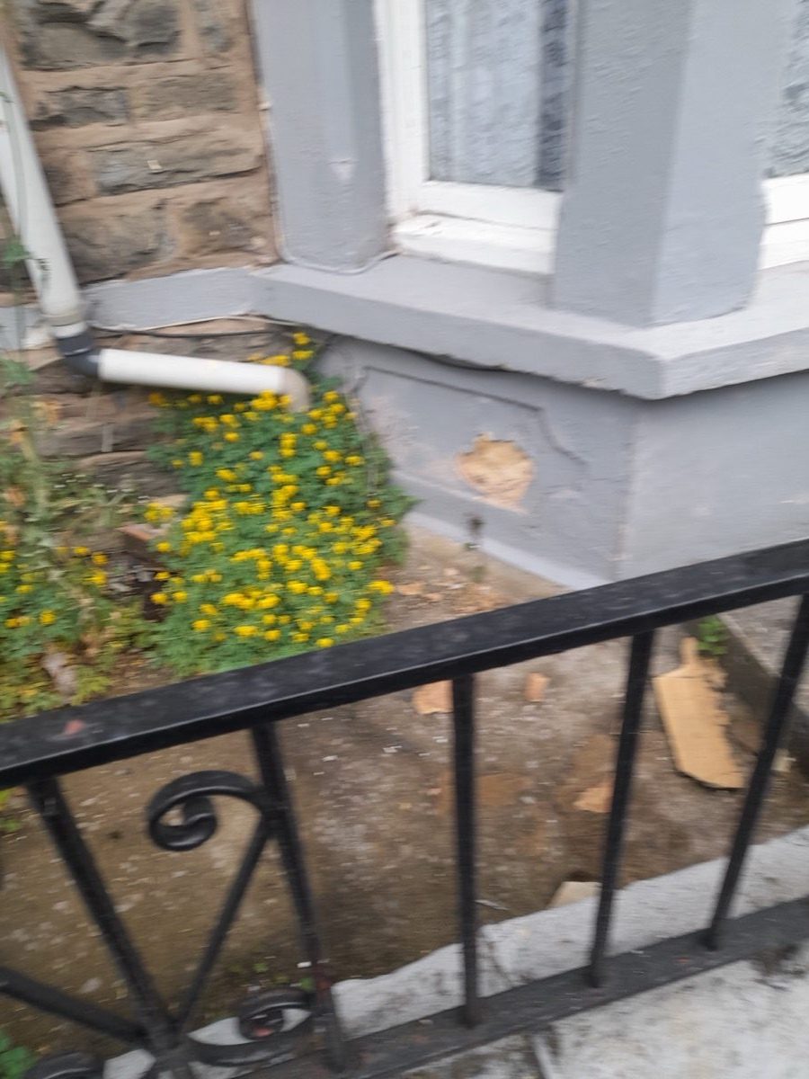 Bath Stone Repair — Wellington Ave, image 1