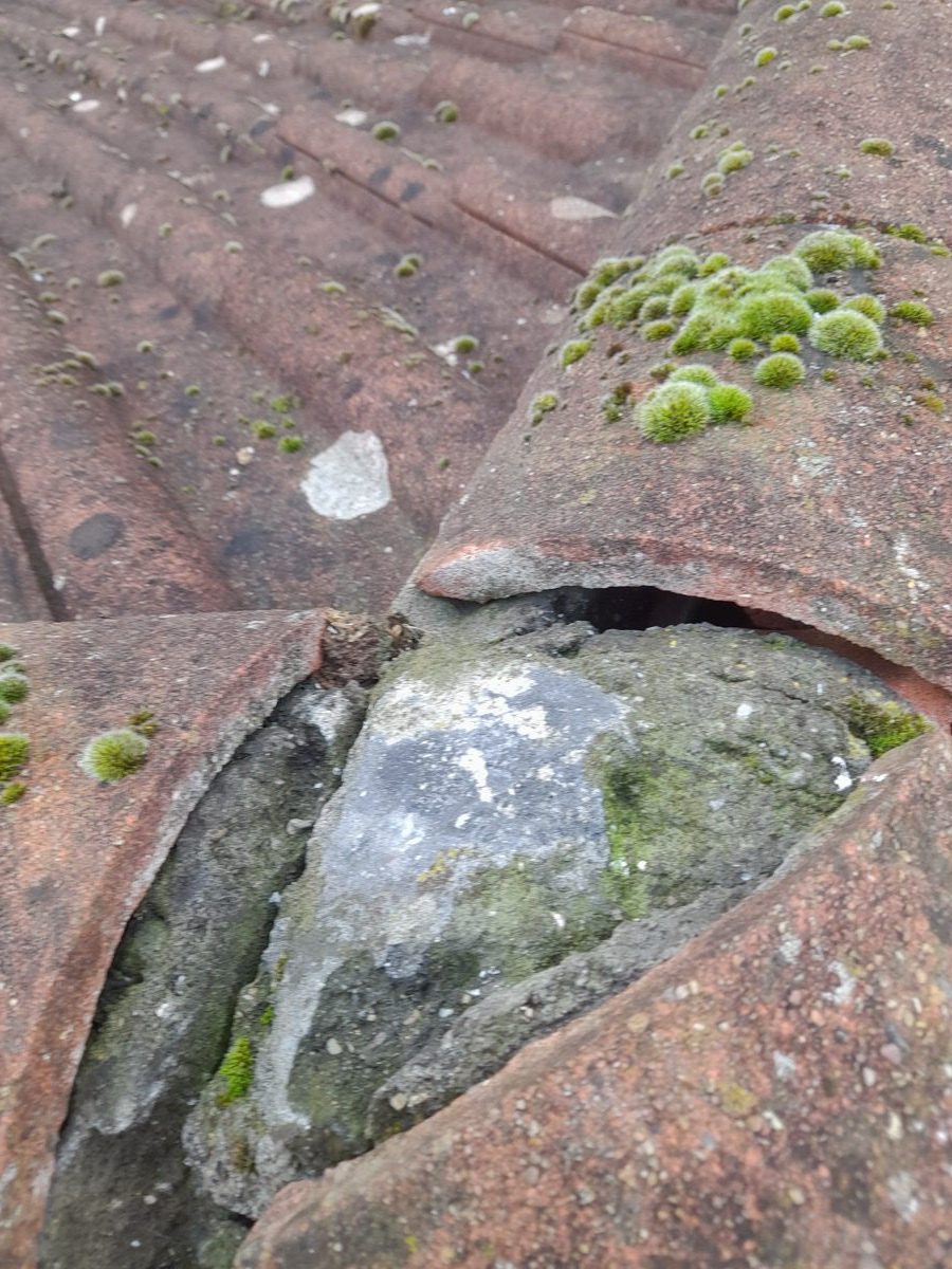 General Building — Solomans Butchers, image 10