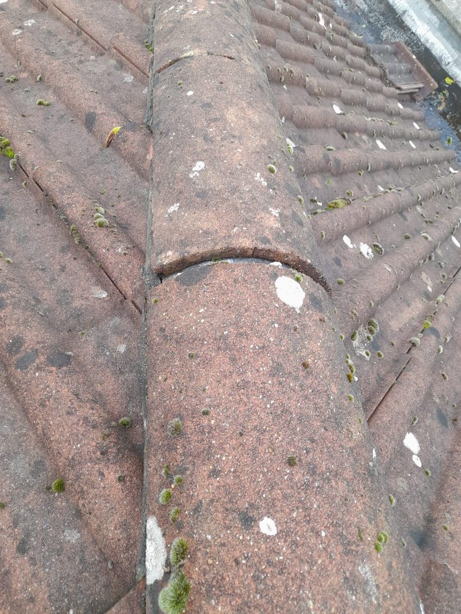 General Building — Solomans Butchers, image 11