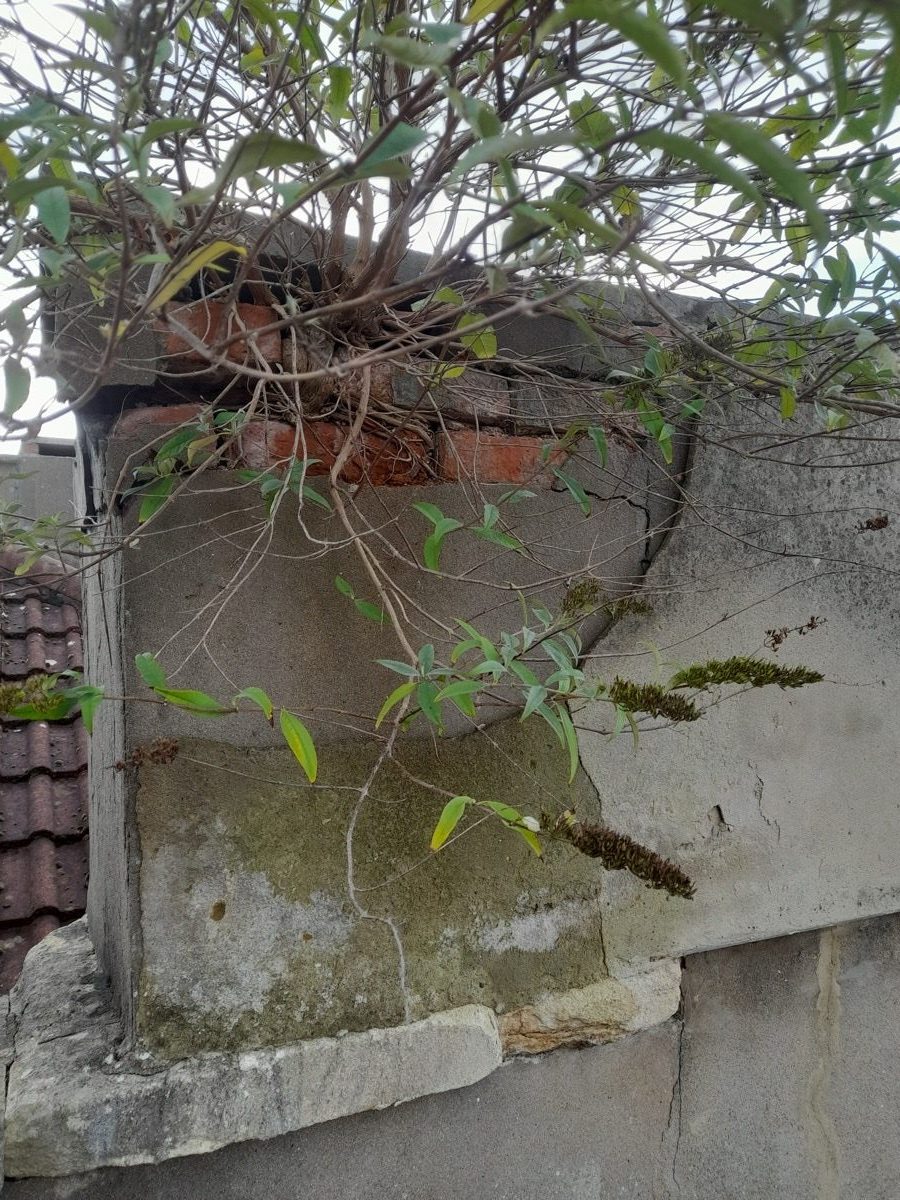 General Building — Solomans Butchers, image 12
