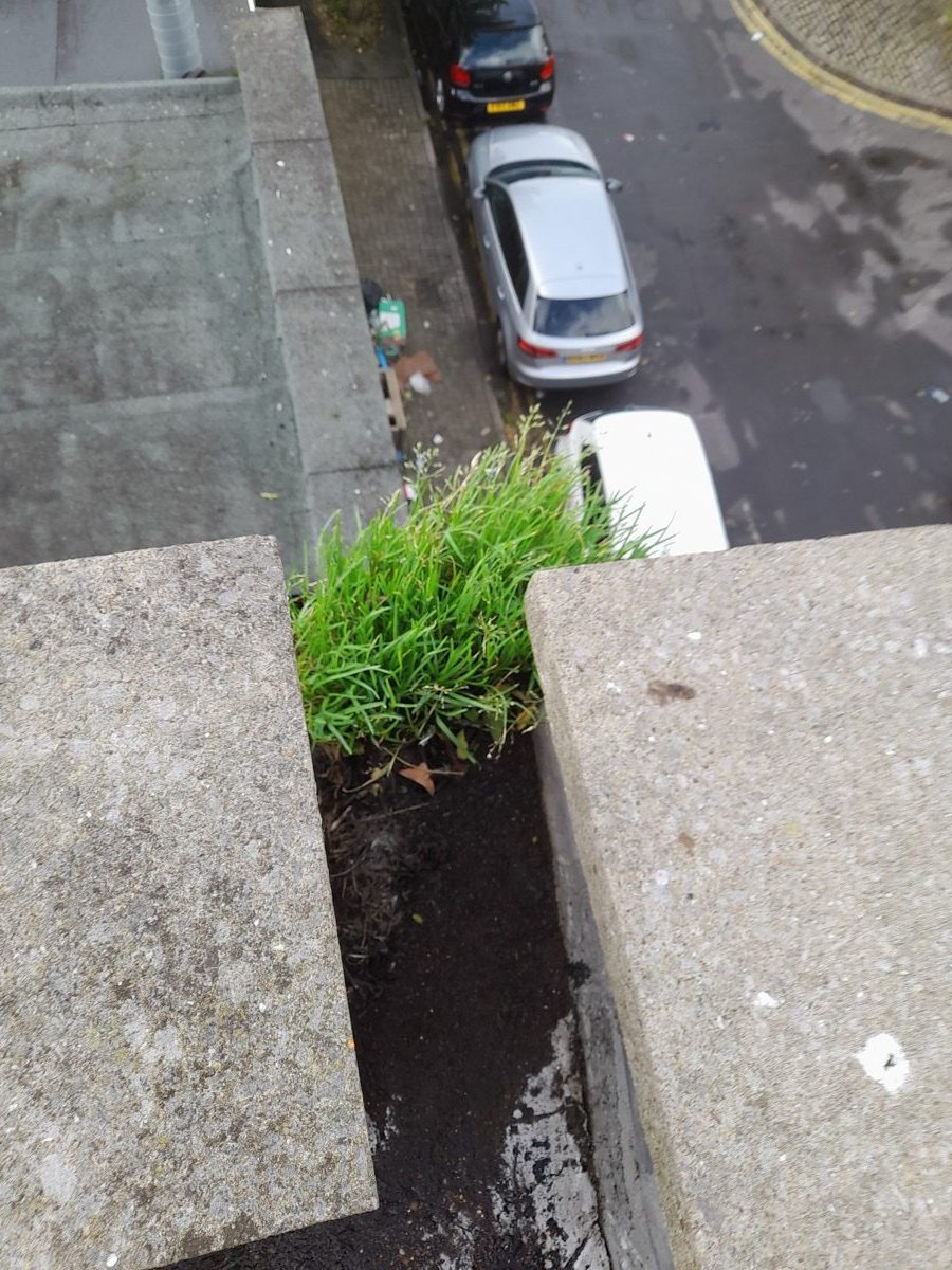 General Building — Solomans Butchers, image 18