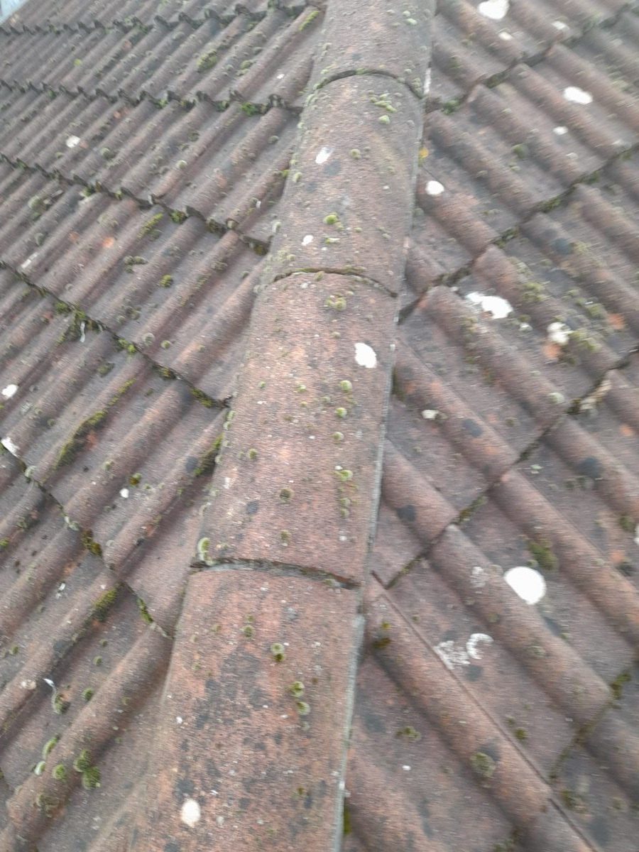 General Building — Solomans Butchers, image 2