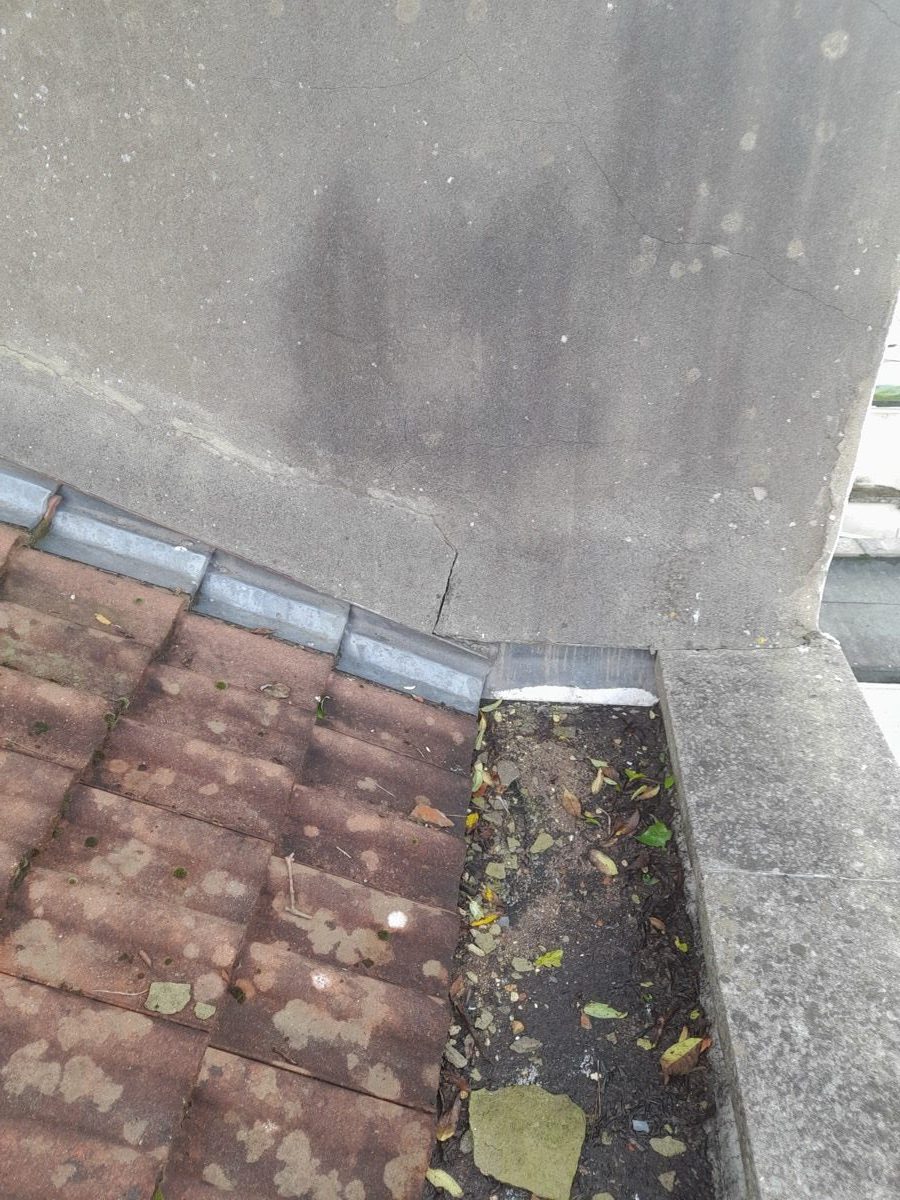 General Building — Solomans Butchers, image 20