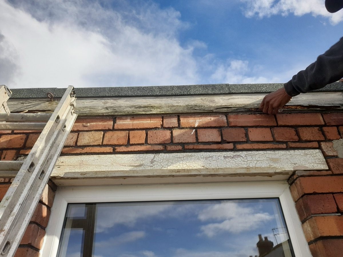 General Building — Solomans Butchers, image 23