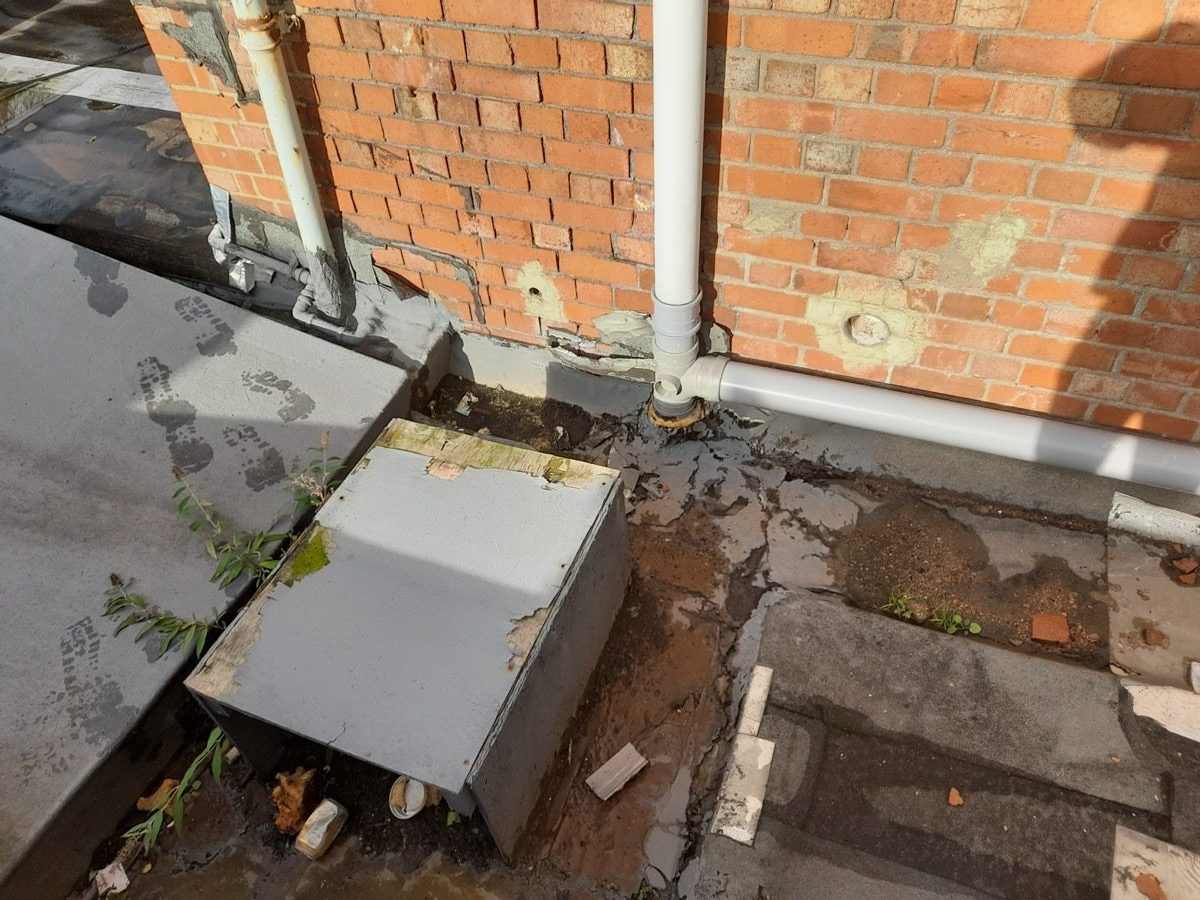 General Building — Solomans Butchers, image 28