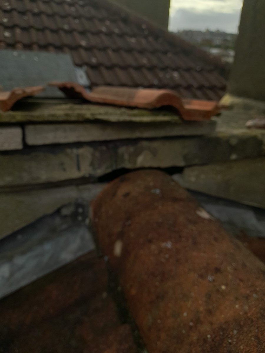 General Building — Solomans Butchers, image 4