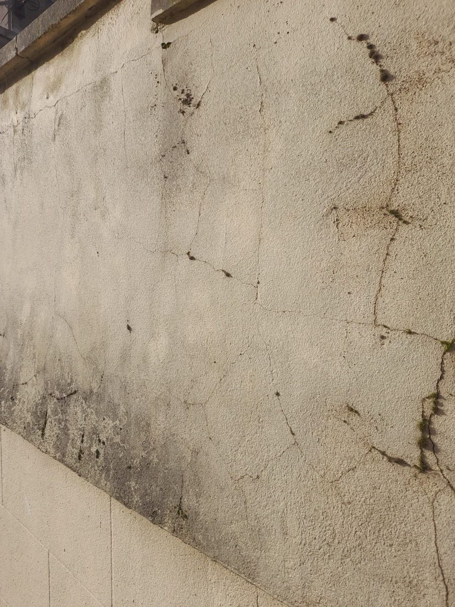 General Building — Solomans Butchers, image 42