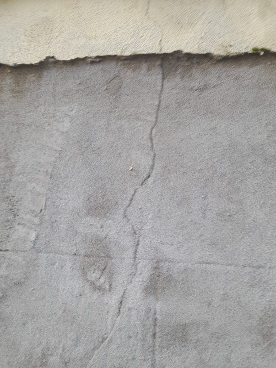 General Building — Solomans Butchers, image 49