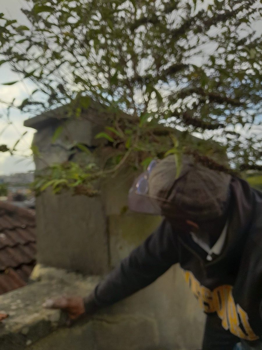 General Building — Solomans Butchers, image 5