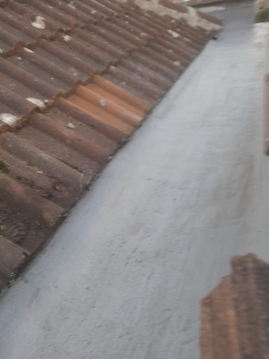 General Building — Solomans Butchers, image 67