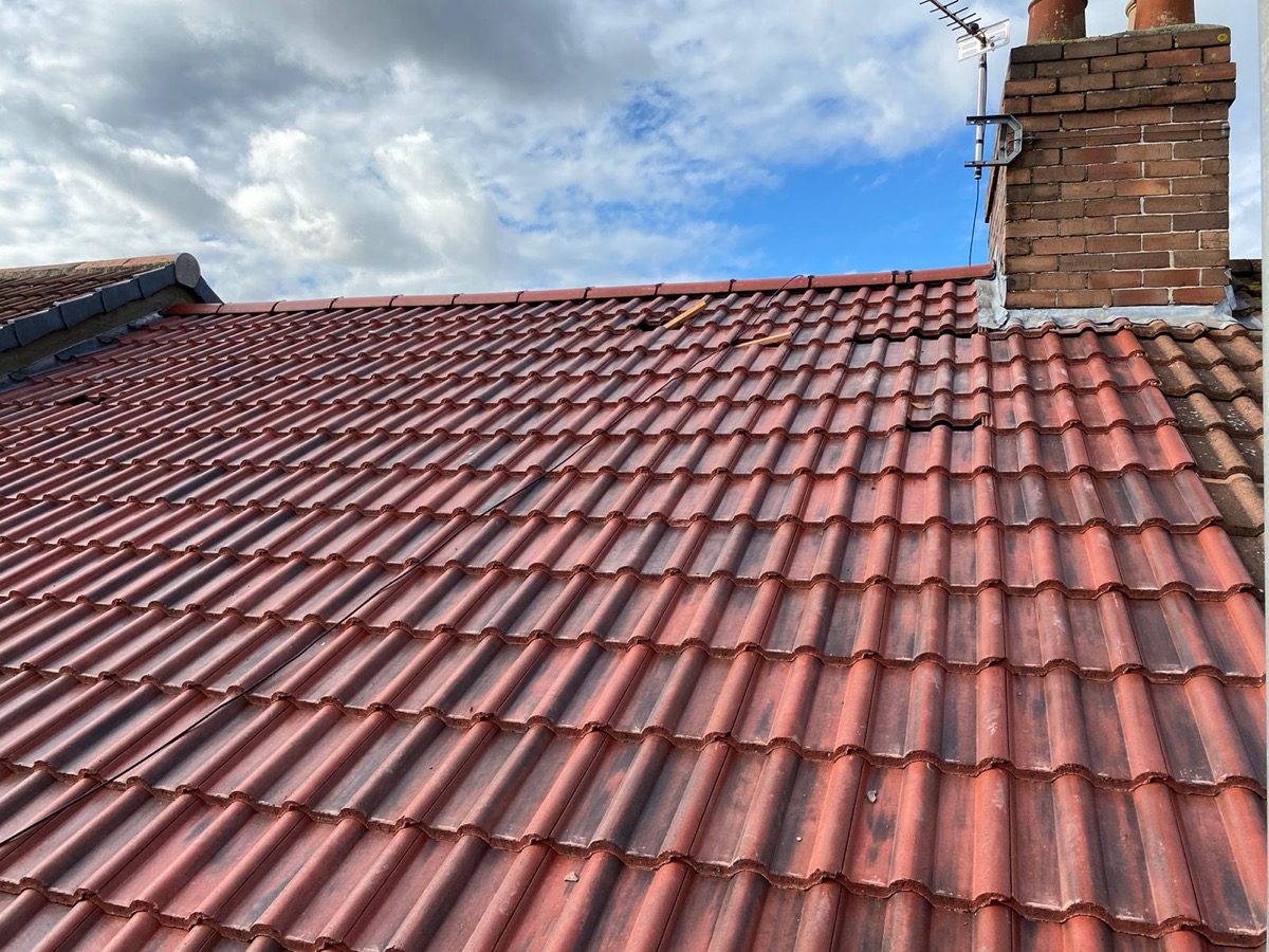 General Building — Solomans Butchers, image 78