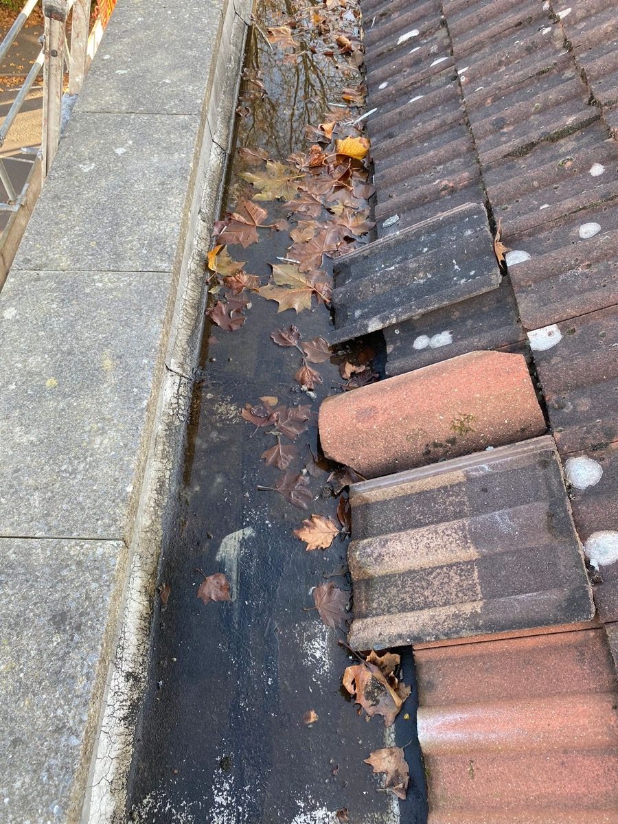 General Building — Solomans Butchers, image 79