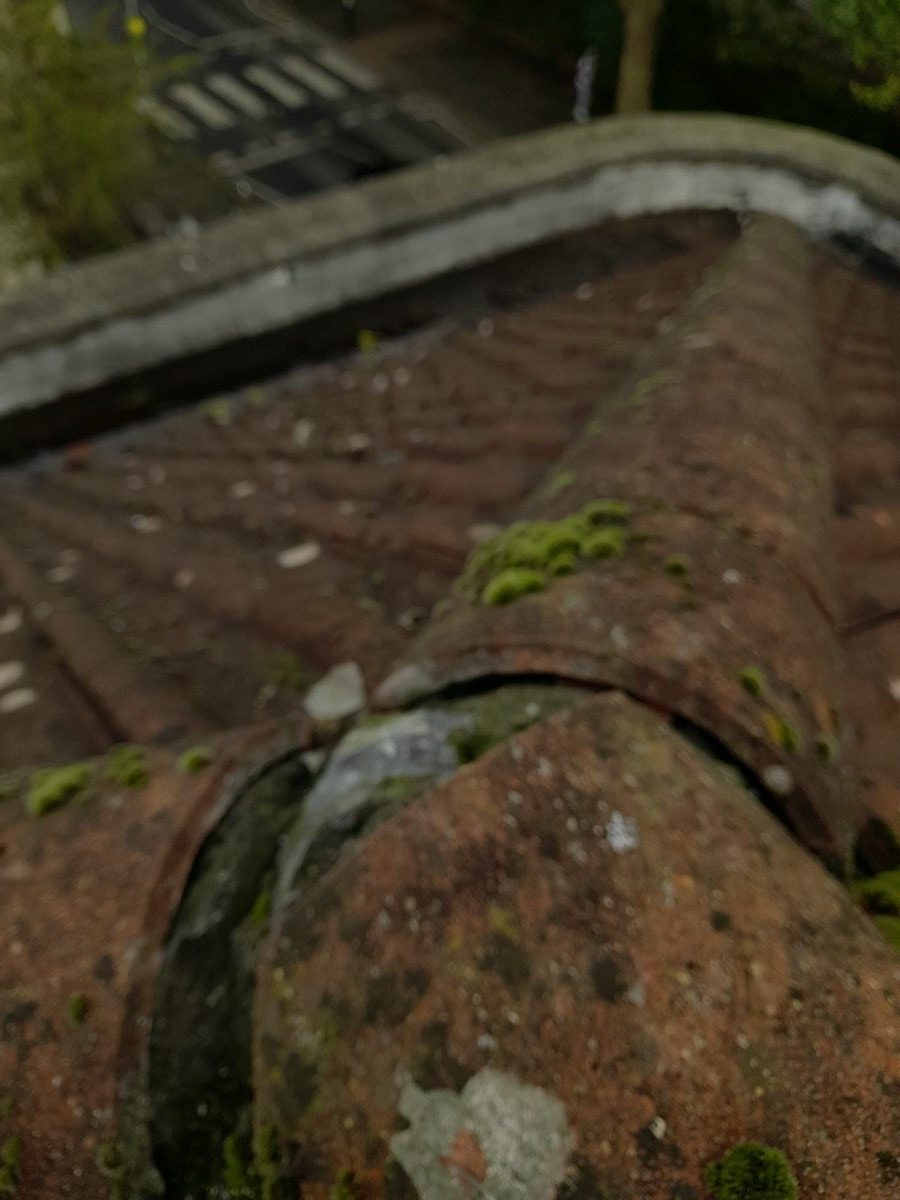General Building — Solomans Butchers, image 9