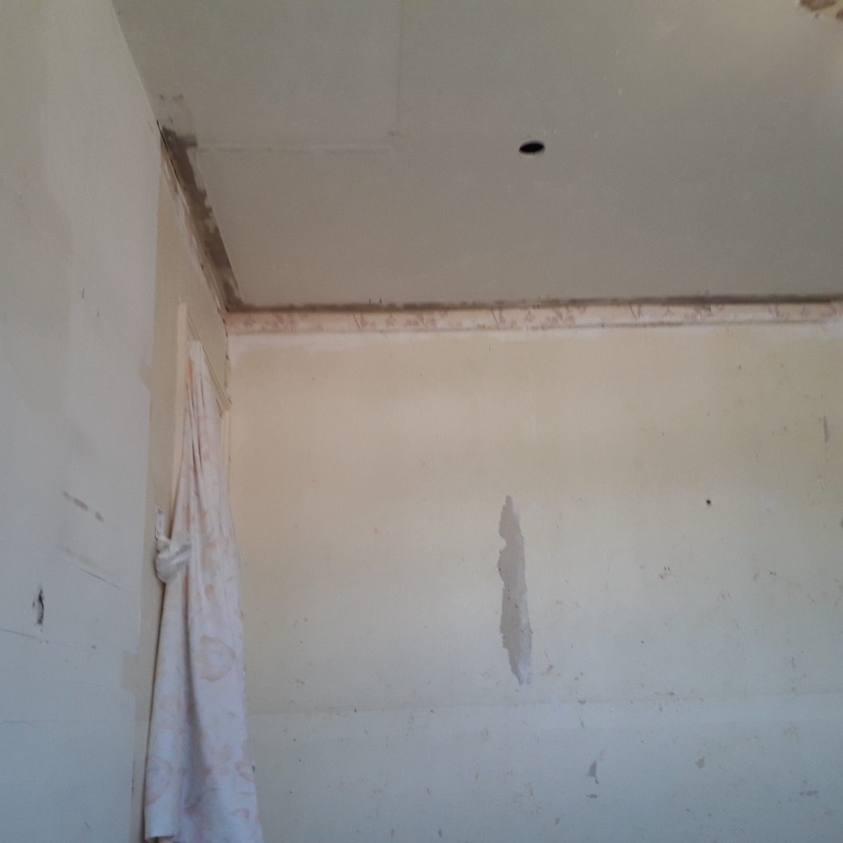Interior Plastering — St Lukes Rd, image 3