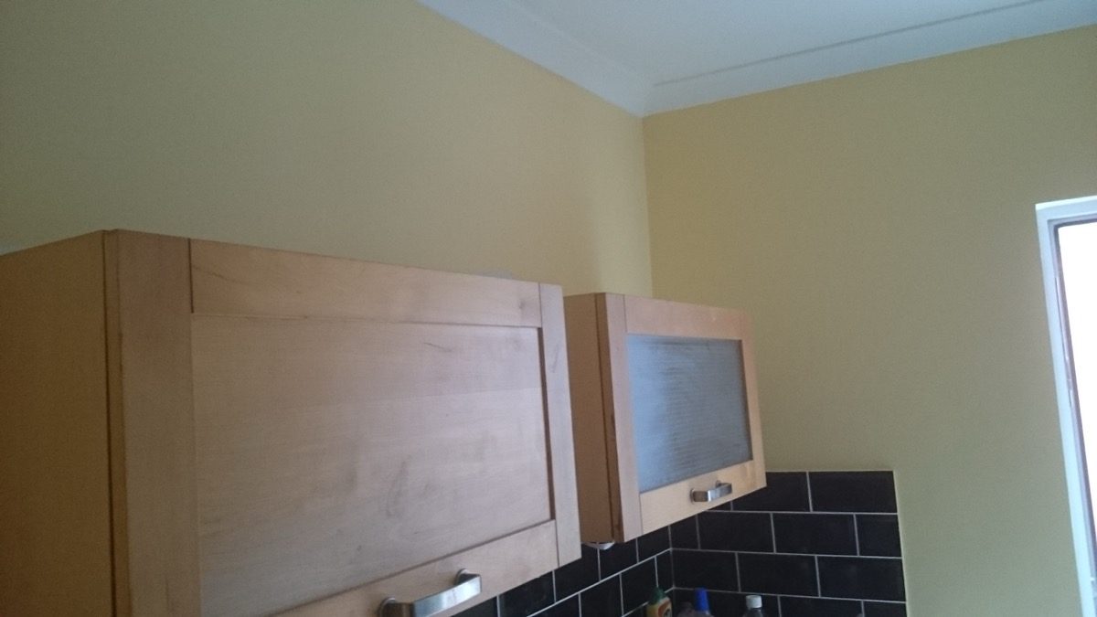 Interior Plastering — St Lukes Rd, image 32