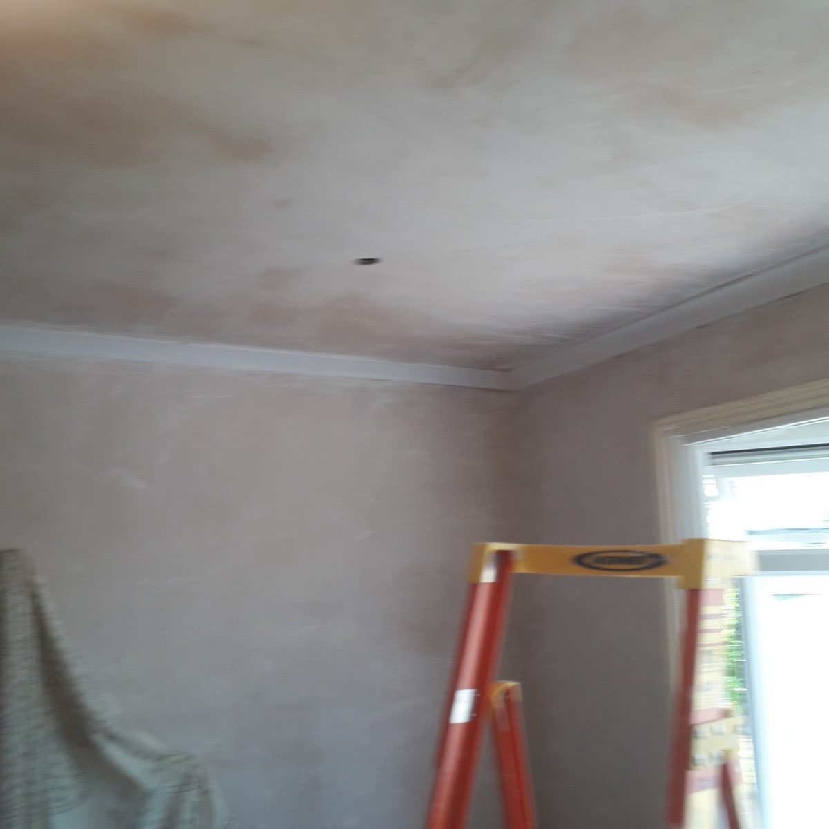 Interior Plastering — St Lukes Rd, image 7