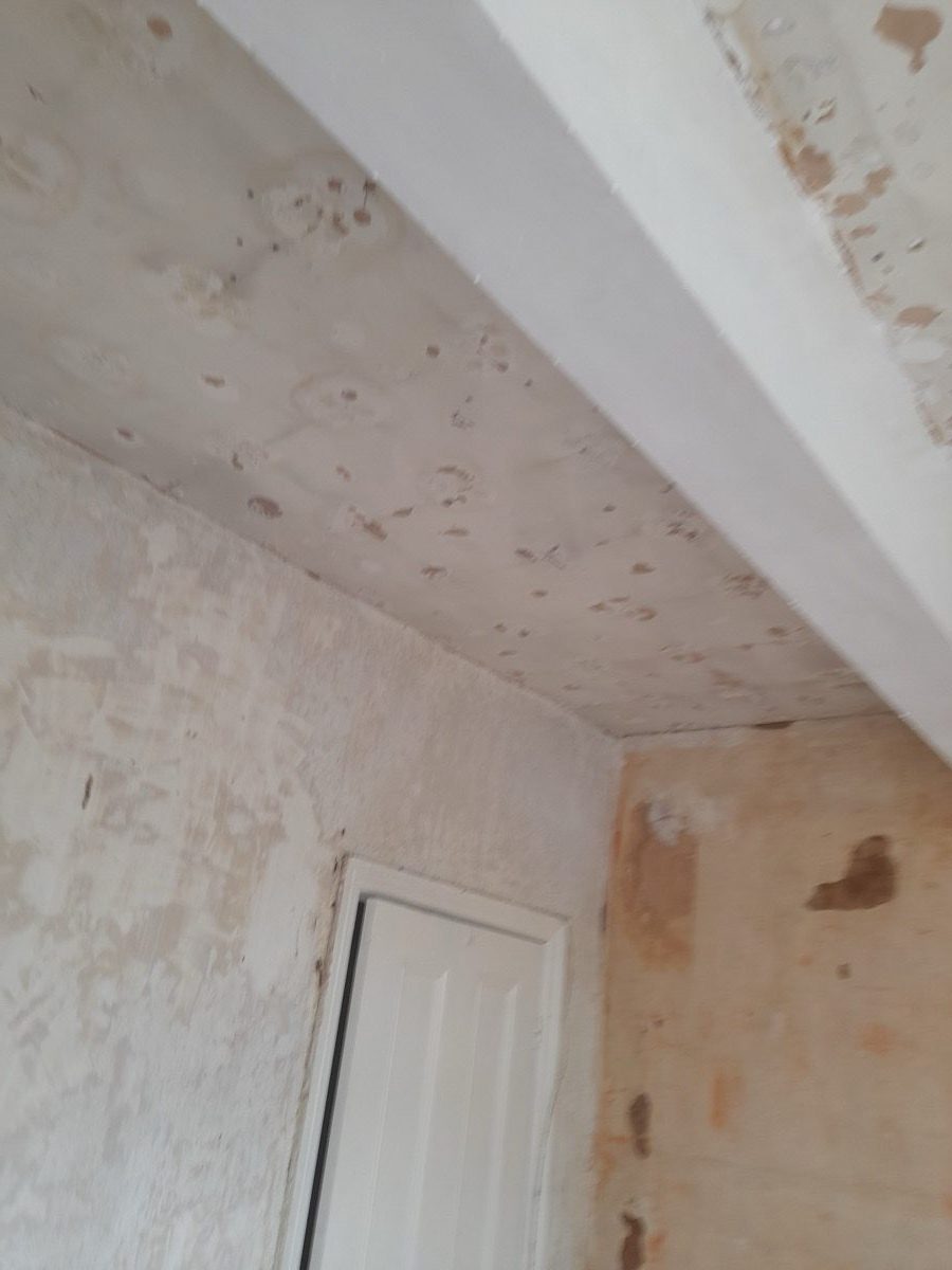 Interior Plastering — The Station, Sheffield, image 14