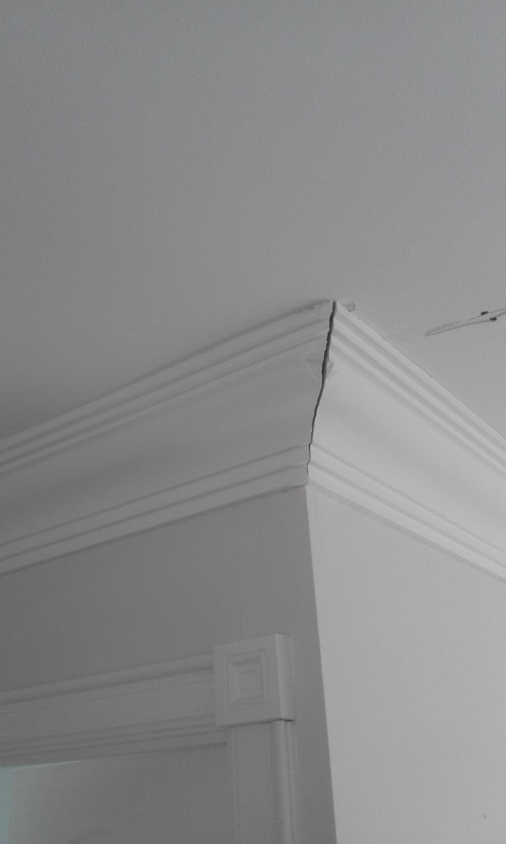 Lime plastering at Coronation Rd, image 12