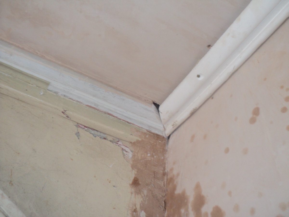 Lime plastering at Coronation Rd, image 45