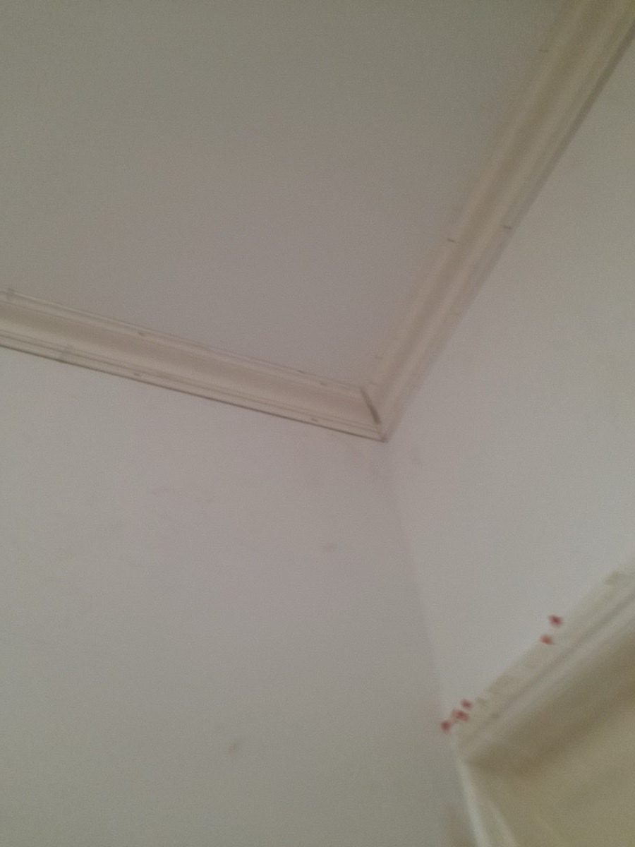 Ornamental Plastering — Bath Quinton, image 4