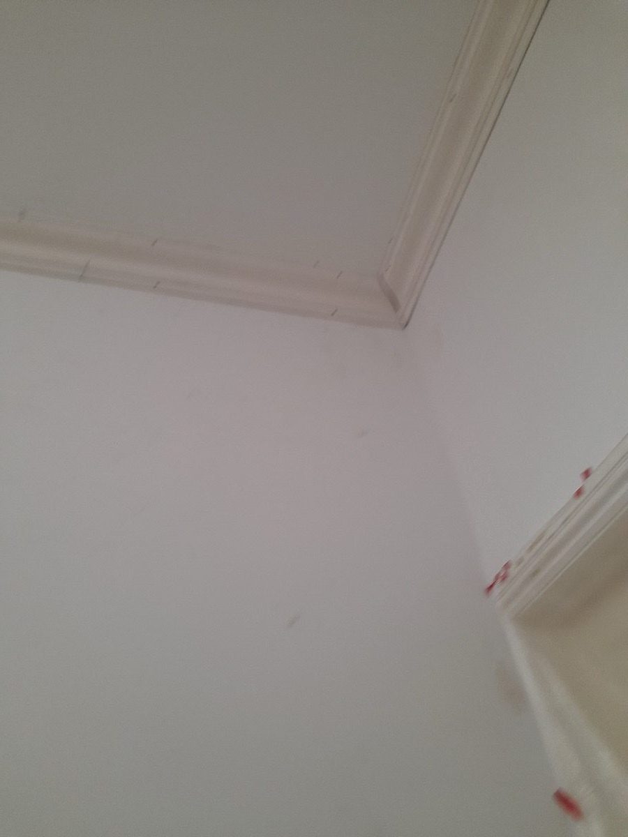 Ornamental Plastering — Bath Quinton, image 5