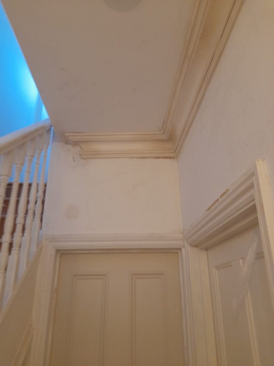 Ornamental Plastering — Bath Quinton, image 6