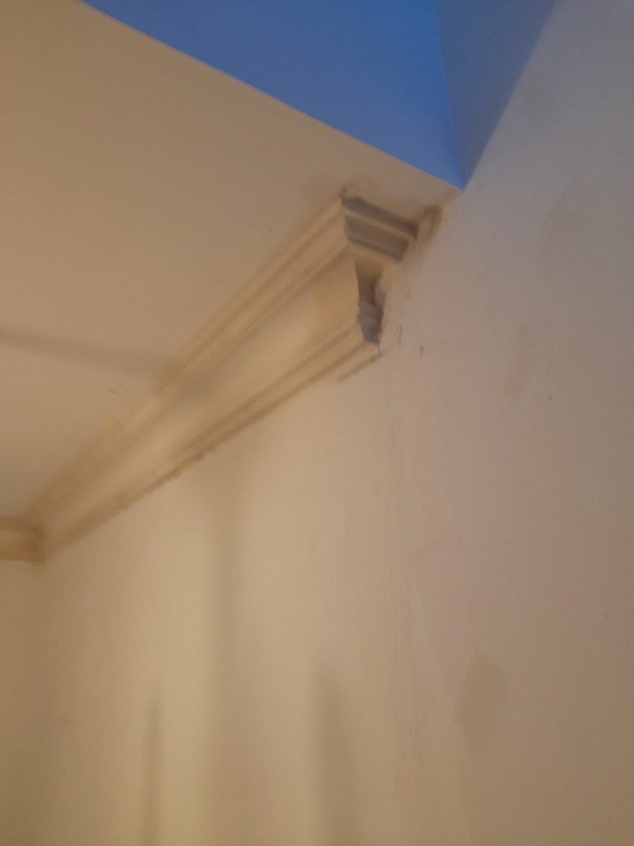 Ornamental Plastering — Bath Quinton, image 7