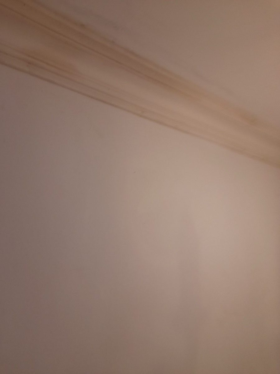 Ornamental Plastering — Bath Quinton, image 9