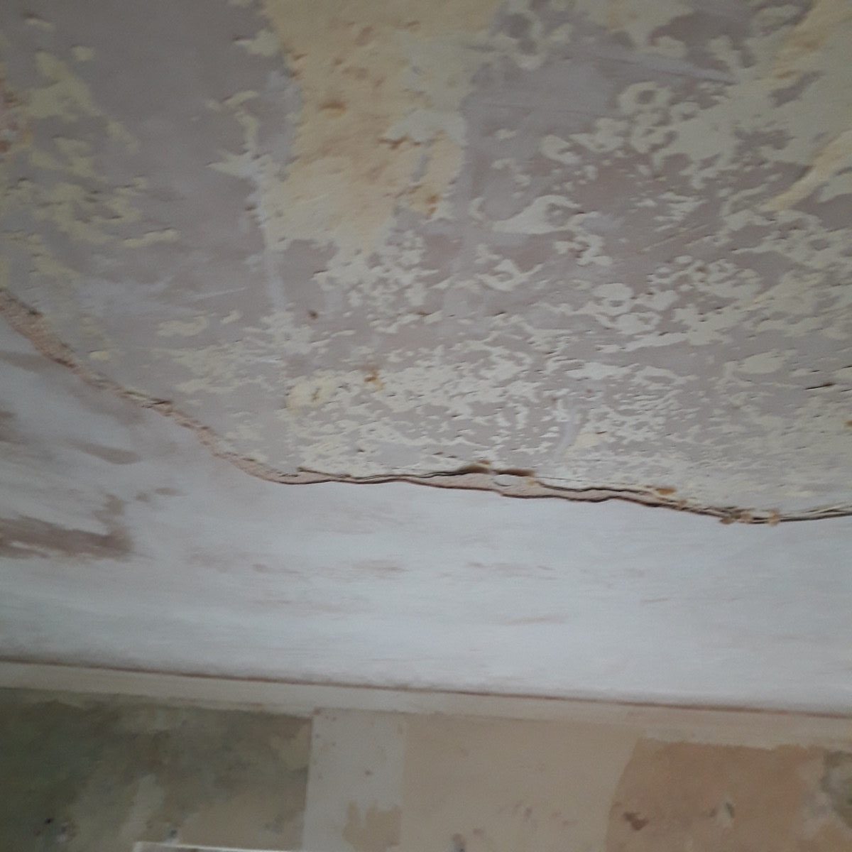 Ornamental Plastering — Belsize Pk, London, image 10