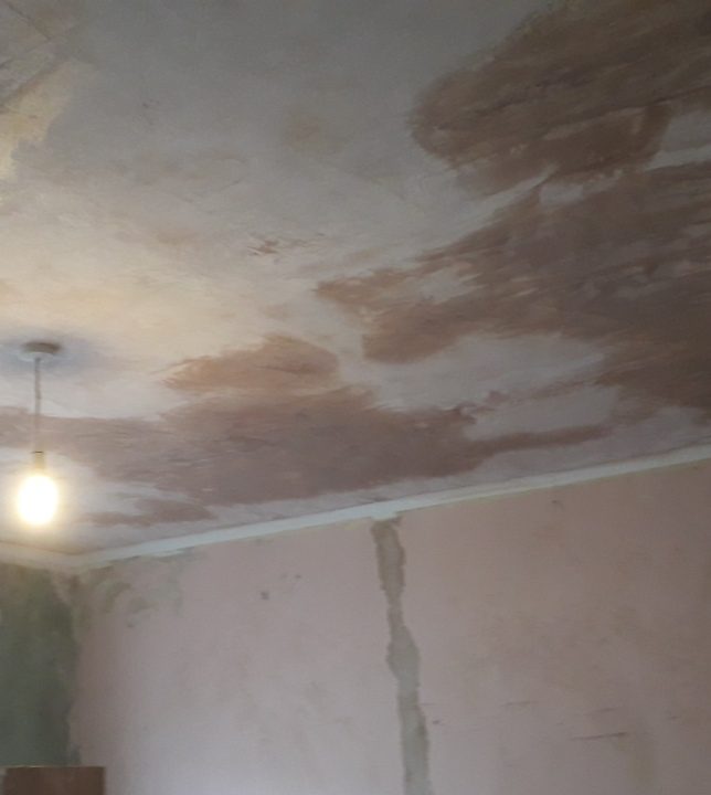 Ornamental Plastering — Belsize Pk, London, image 15