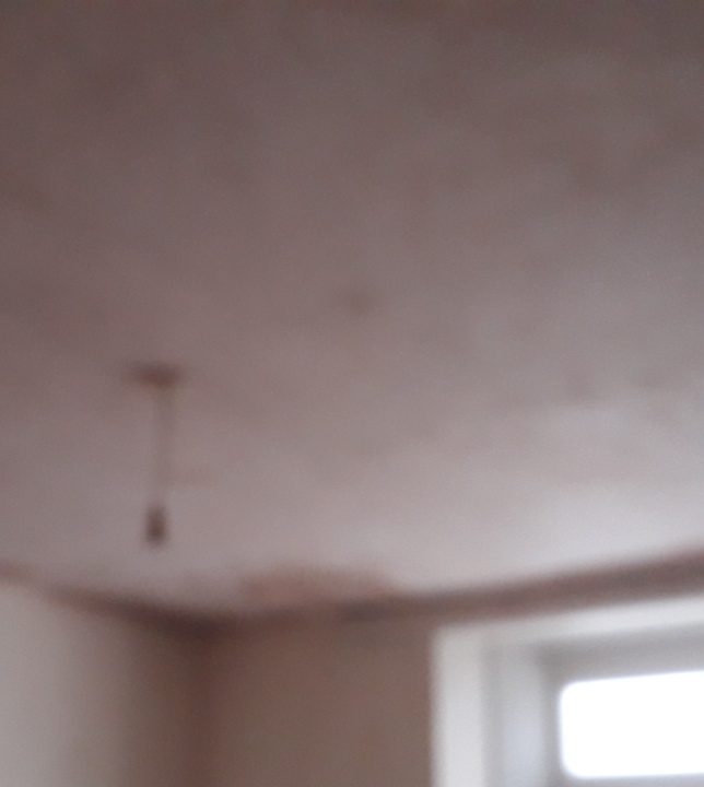 Ornamental Plastering — Belsize Pk, London, image 16