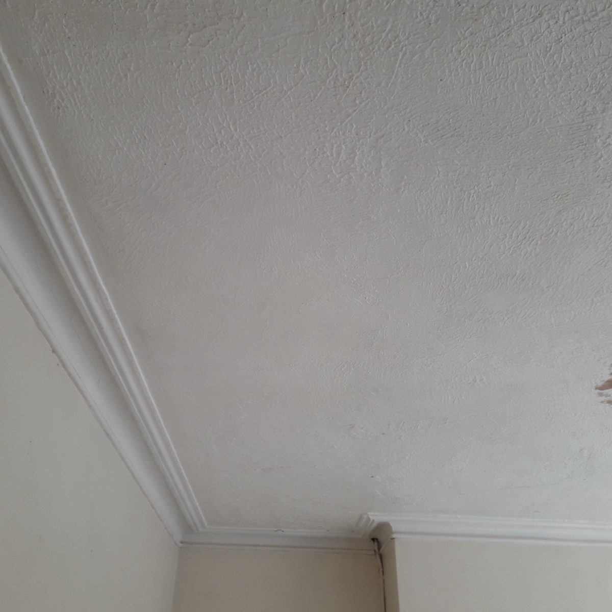 Ornamental Plastering — Belsize Pk, London, image 2