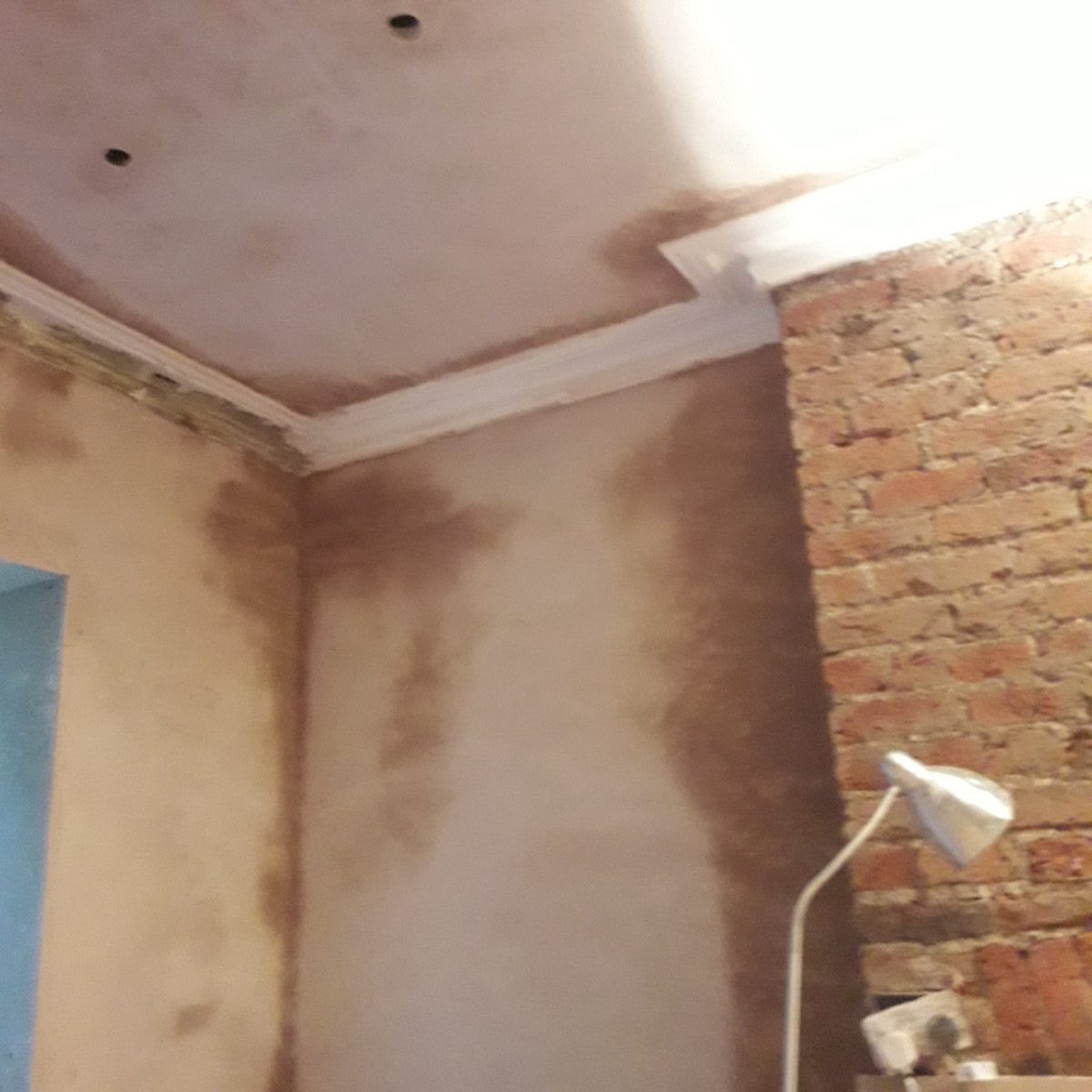 Ornamental Plastering — Belsize Pk, London, image 33