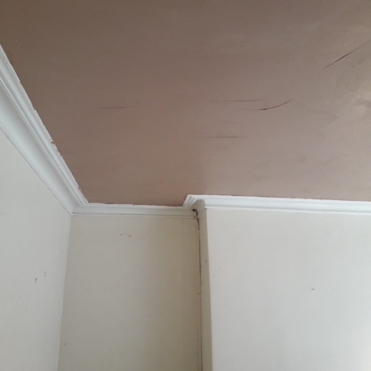 Ornamental Plastering — Belsize Pk, London, image 4