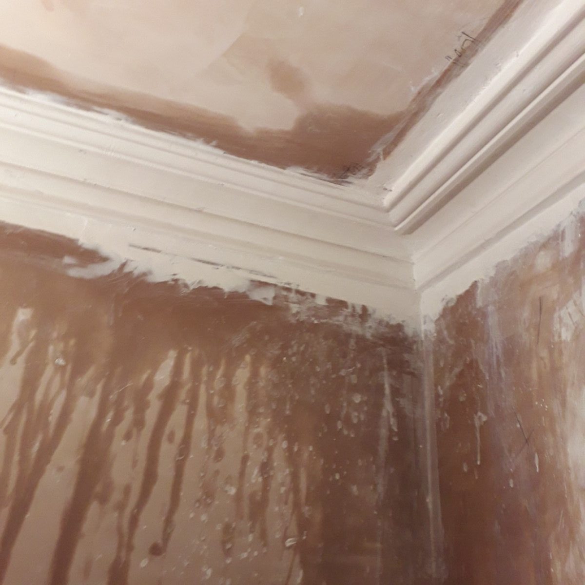 Ornamental Plastering — Belsize Pk, London, image 53