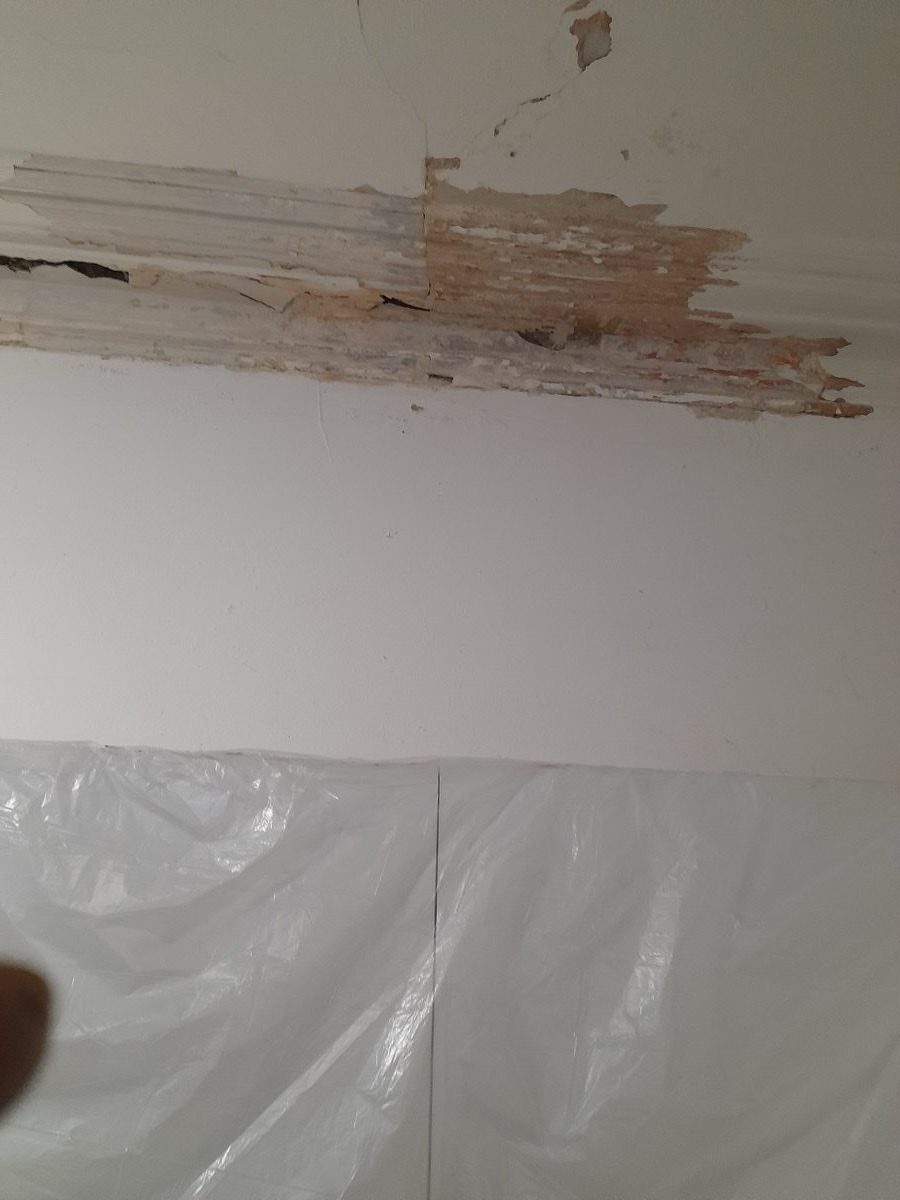 Ornamental Plastering — Belsize Pk, London, image 55