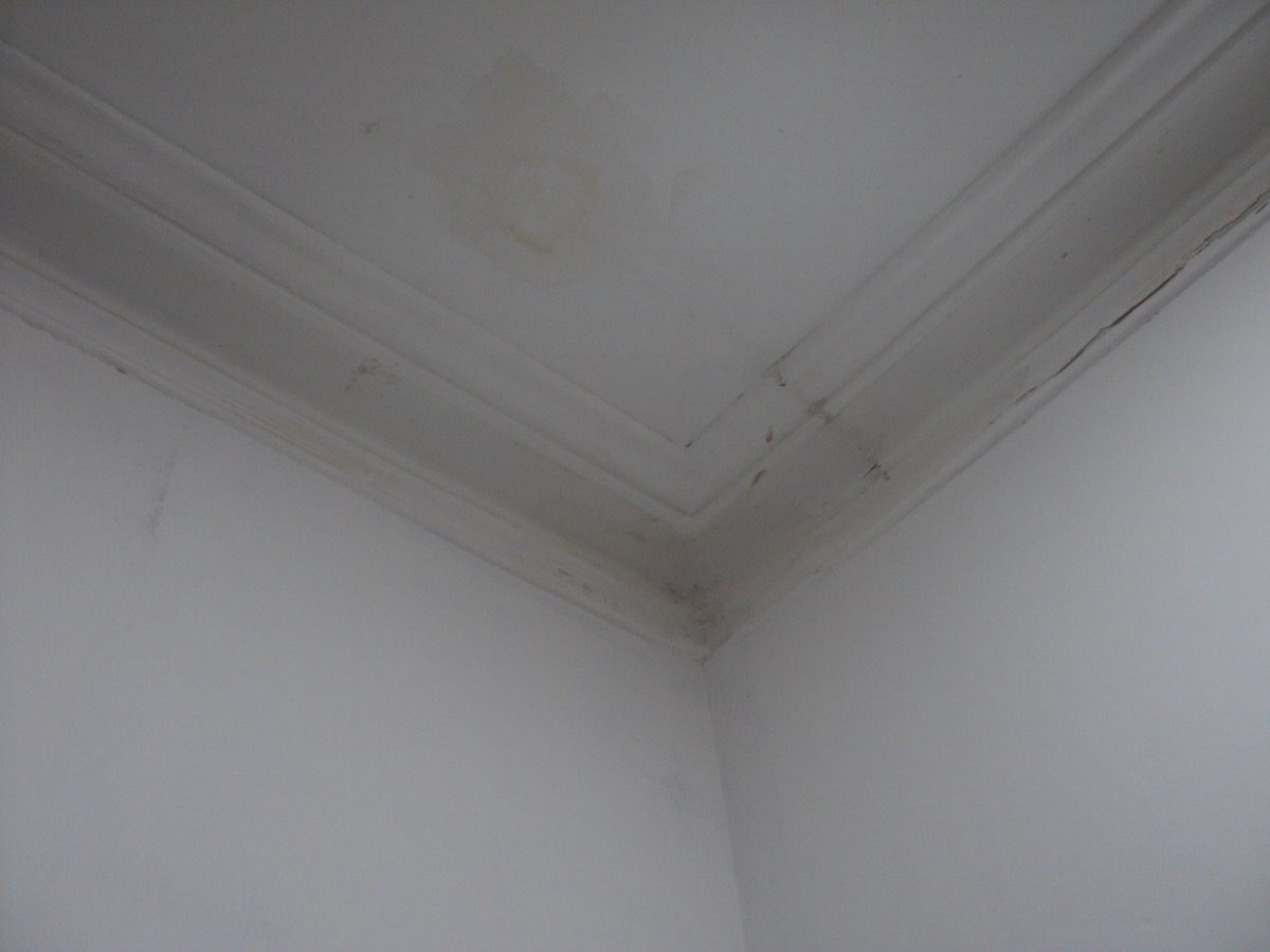 Ornamental Plastering — Belsize Pk, London, image 59