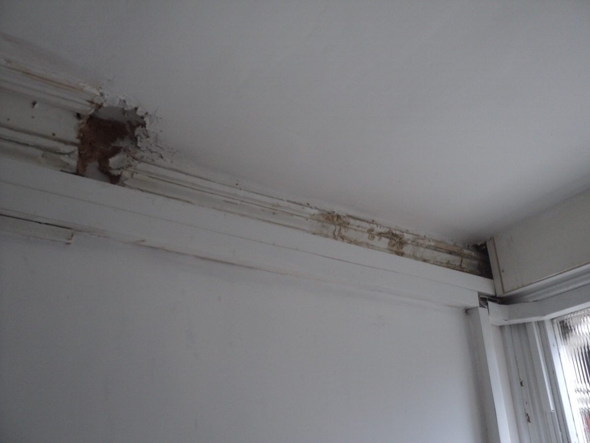 Ornamental Plastering — Belsize Pk, London, image 62