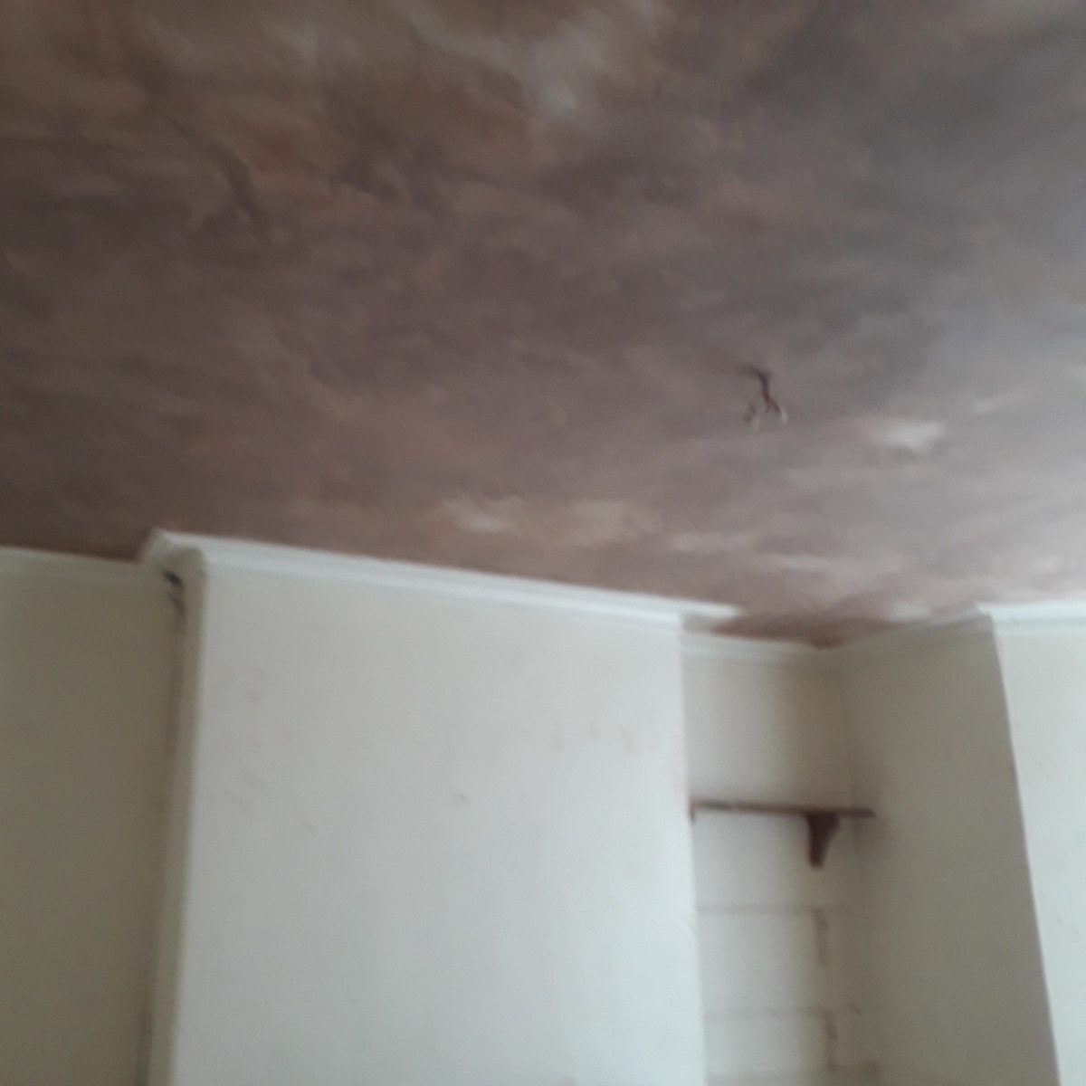 Ornamental Plastering — Belsize Pk, London, image 7