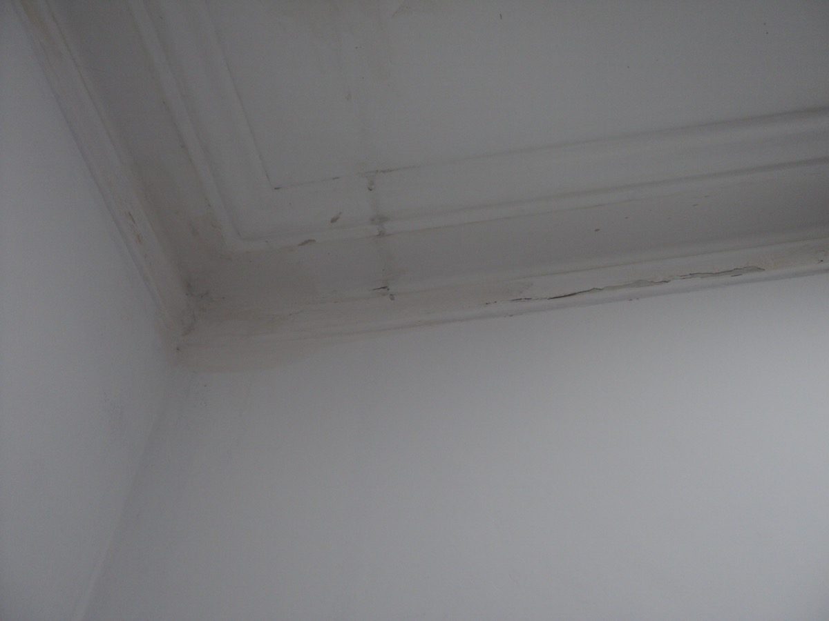 Ornamental Plastering — Belsize Pk, London, image 72