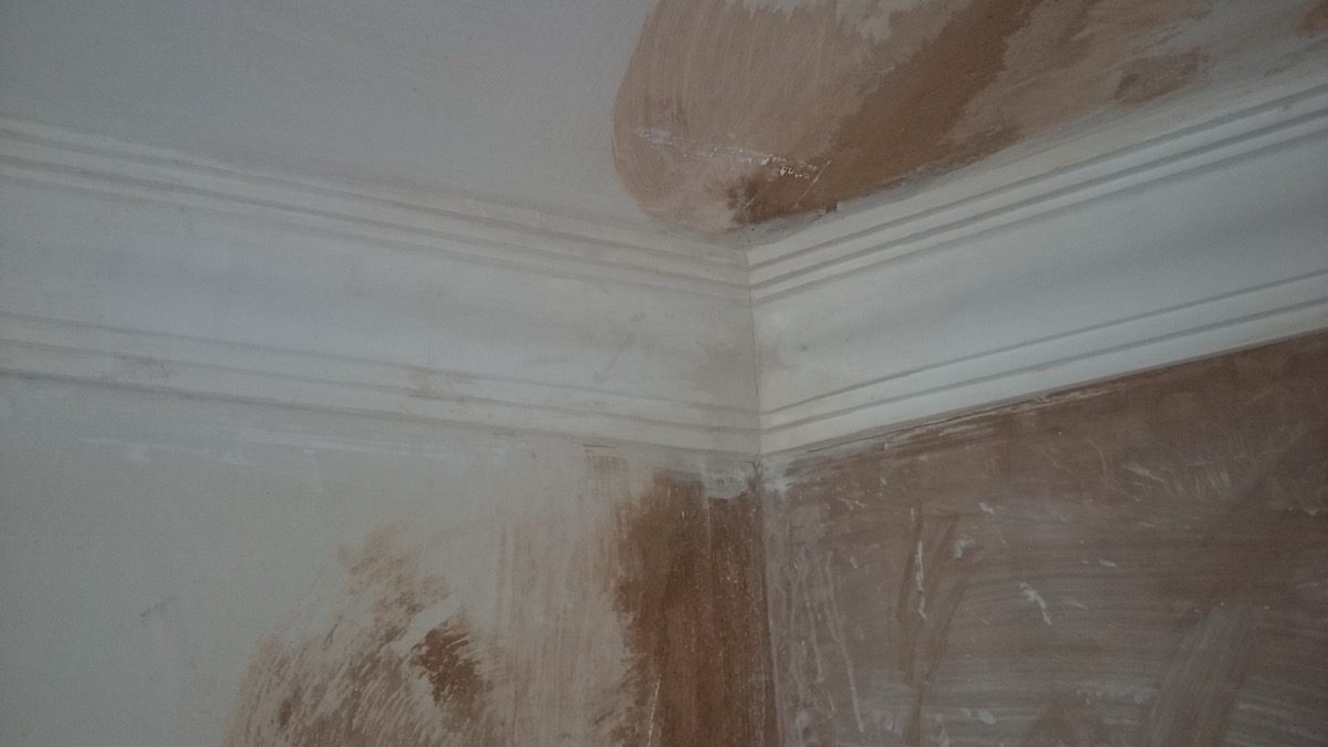 Ornamental Plastering — Brean Bungalow, image 11