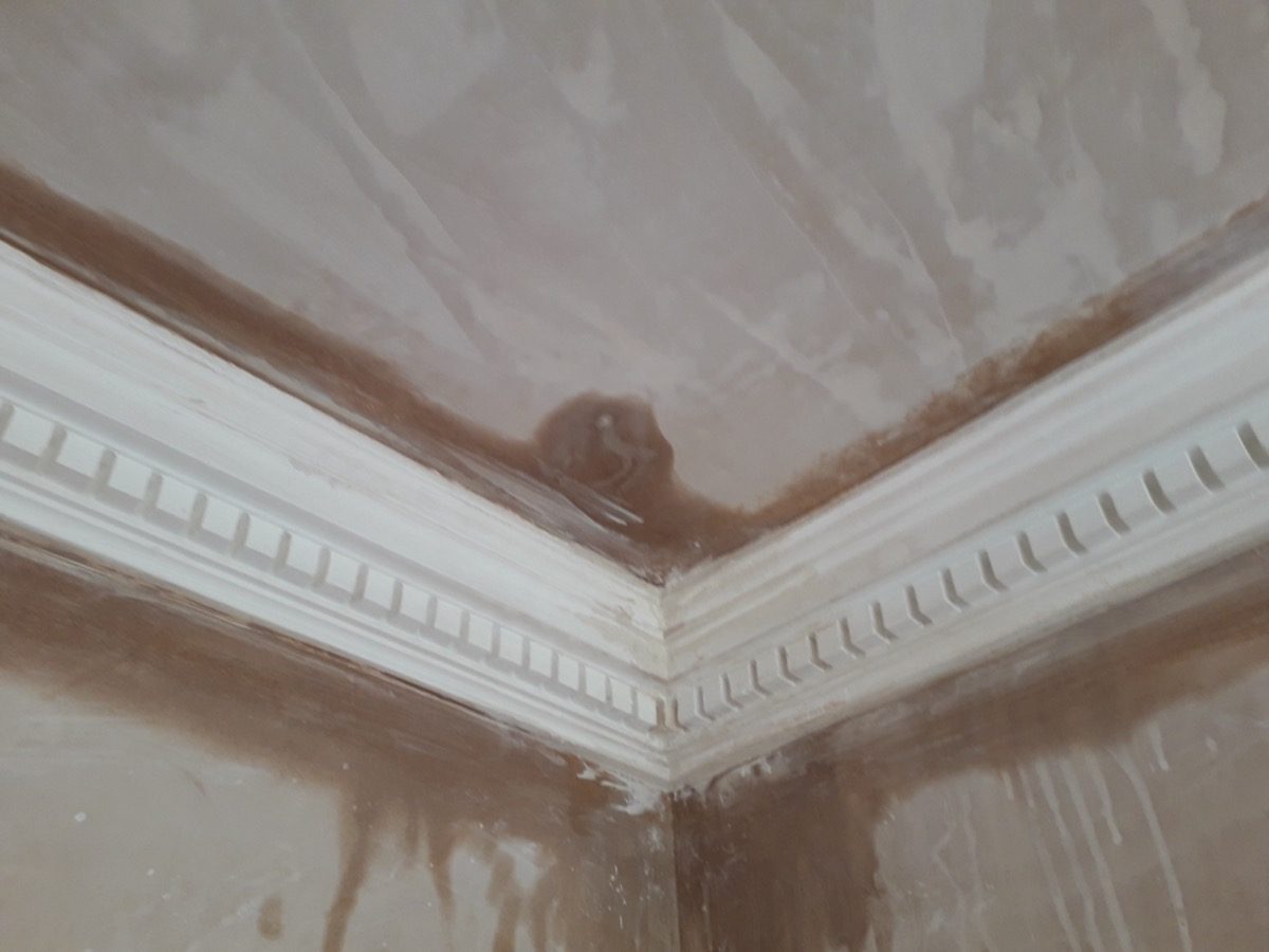 Ornamental Plastering — Brean Bungalow, image 19