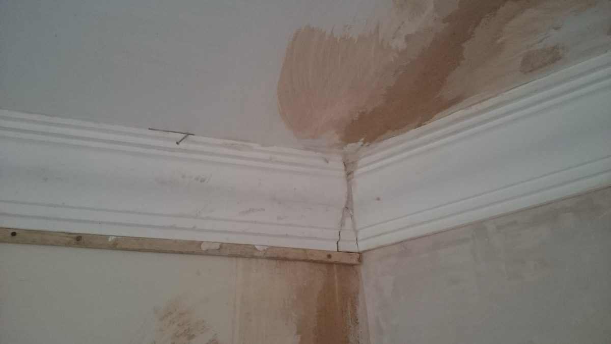 Ornamental Plastering — Brean Bungalow, image 8