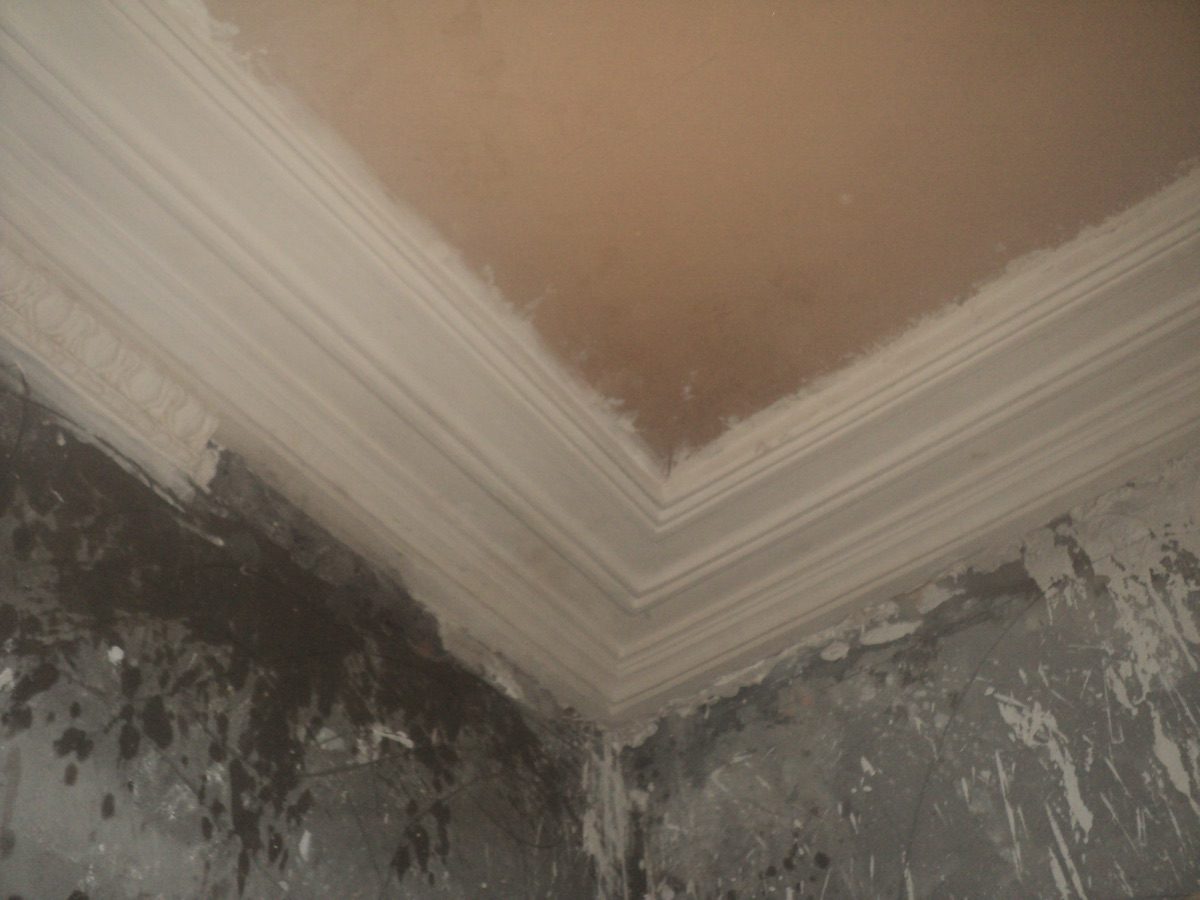 Ornamental plastering at Coronation Rd, image 14