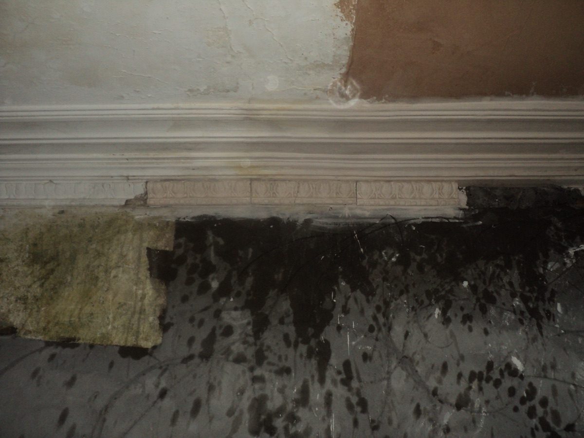 Ornamental plastering at Coronation Rd, image 15