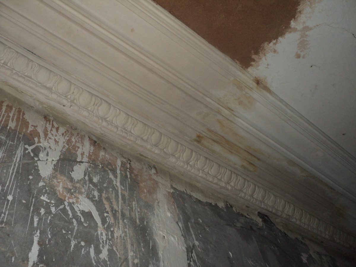 Ornamental plastering at Coronation Rd, image 25
