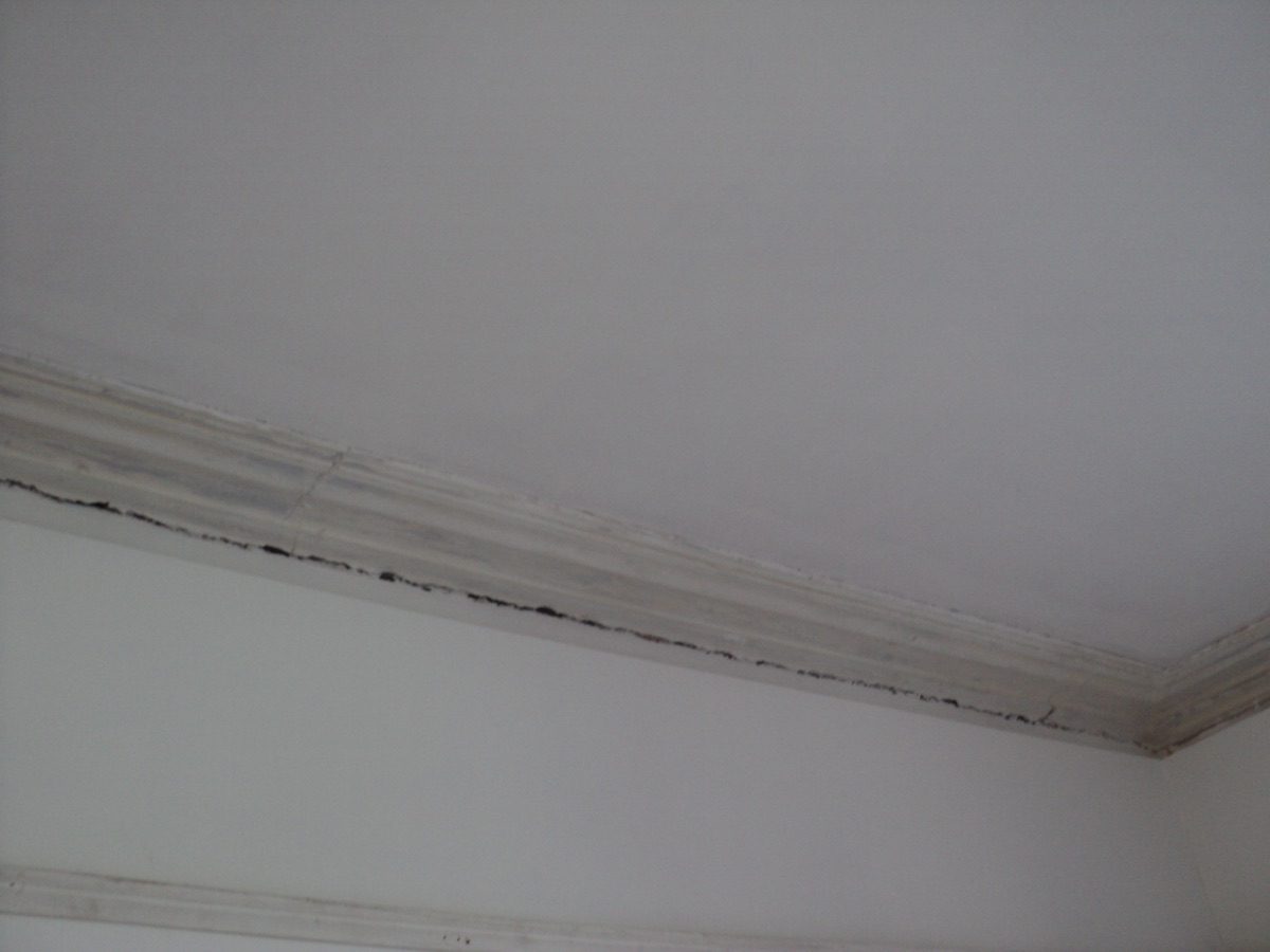 Ornamental plastering at Coronation Rd, image 45