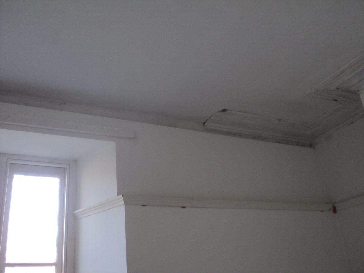 Ornamental plastering at Coronation Rd, image 48