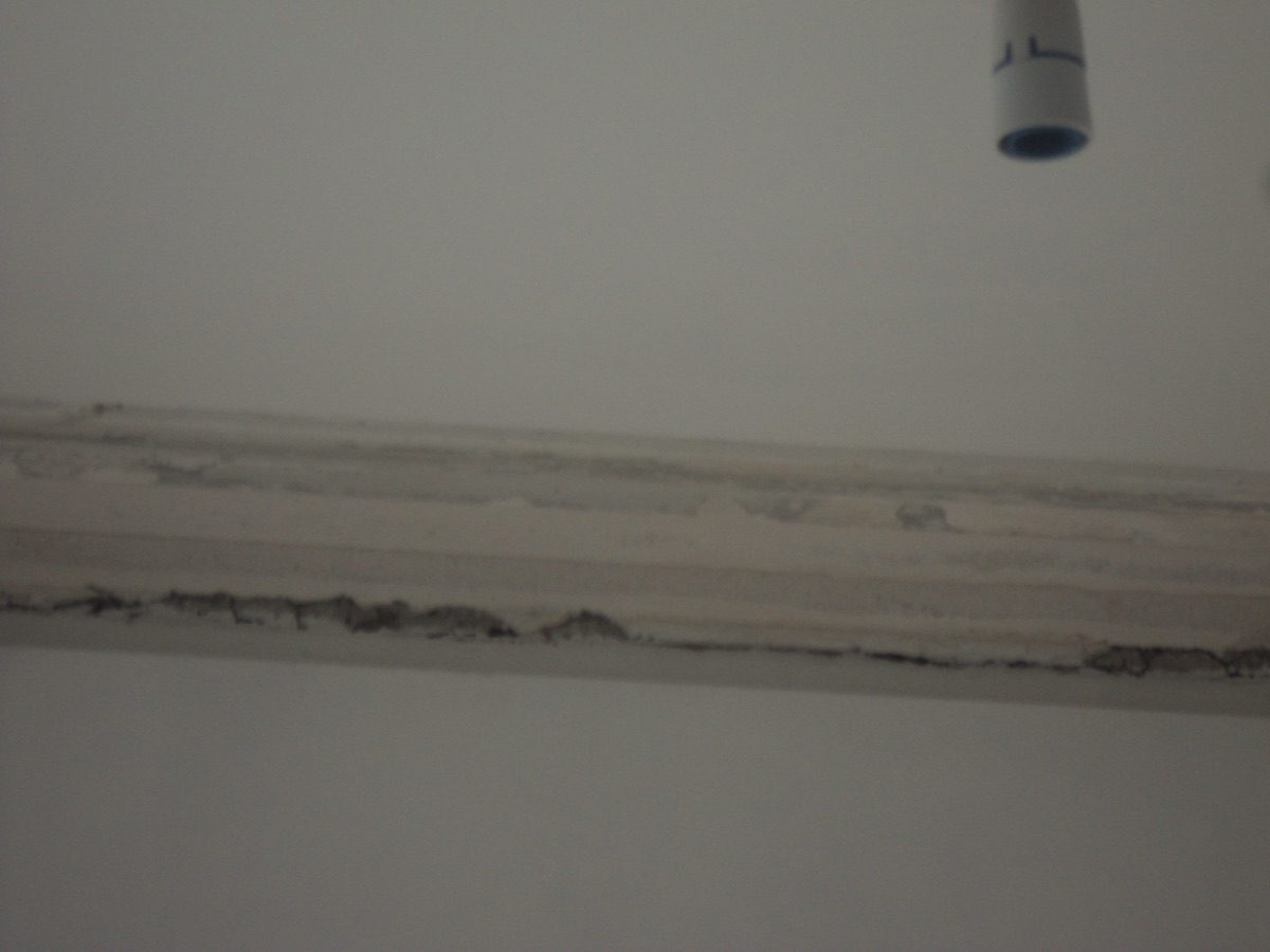 Ornamental plastering at Coronation Rd, image 52